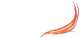 Calido Media logo